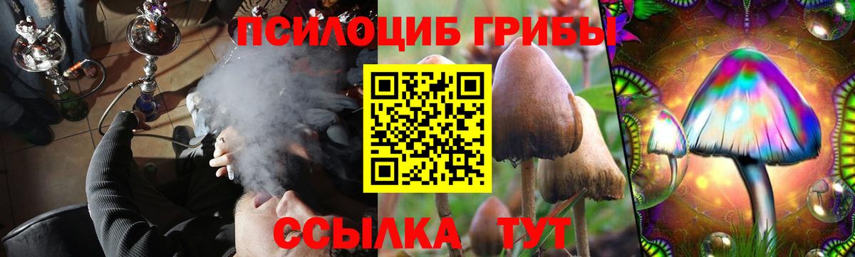 Тельмана  Галлюциногенные грибы MAGIC MUSHROOMS  Вход с VPN 